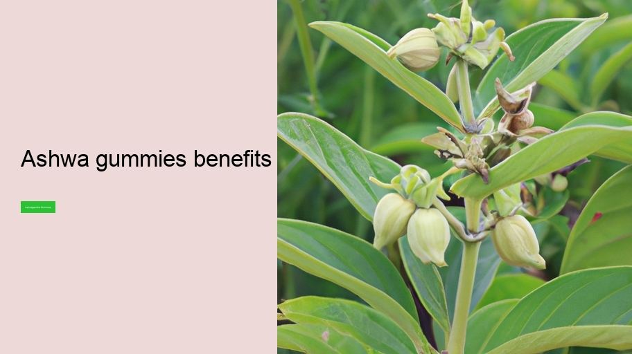 ashwa gummies benefits