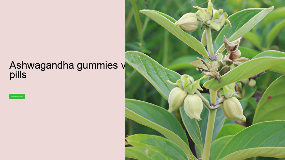 ashwagandha gummies vs pills