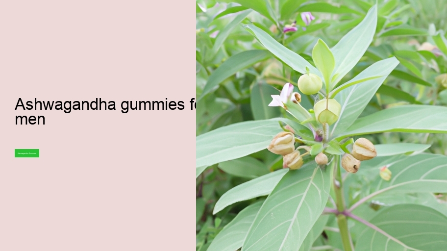 ashwagandha gummies for men