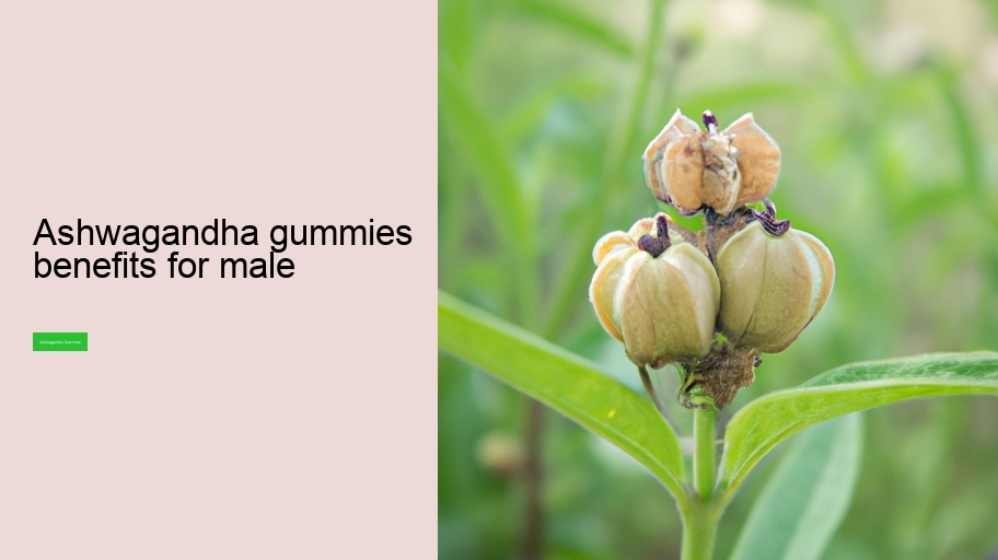ashwagandha gummies benefits for male
