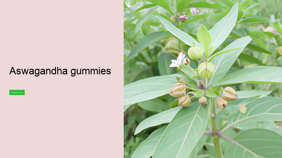 aswagandha gummies