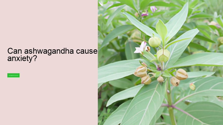 Can ashwagandha cause anxiety?