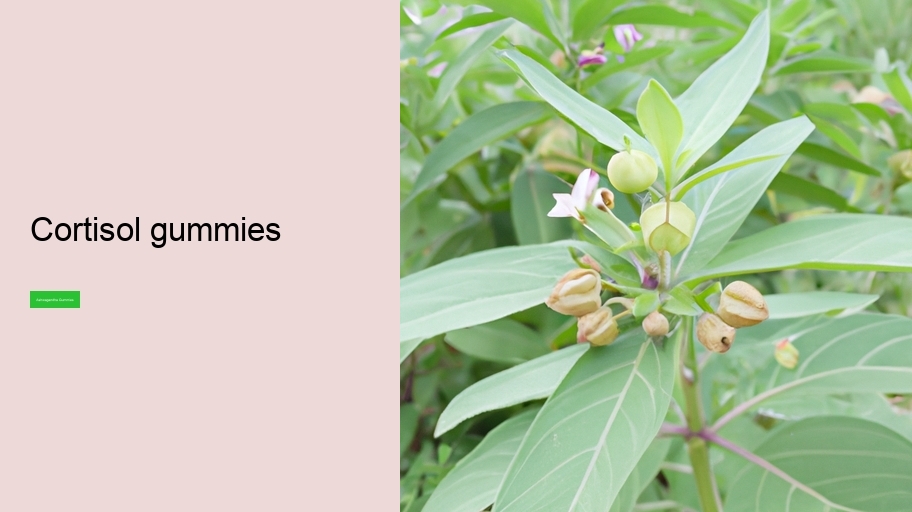 cortisol gummies