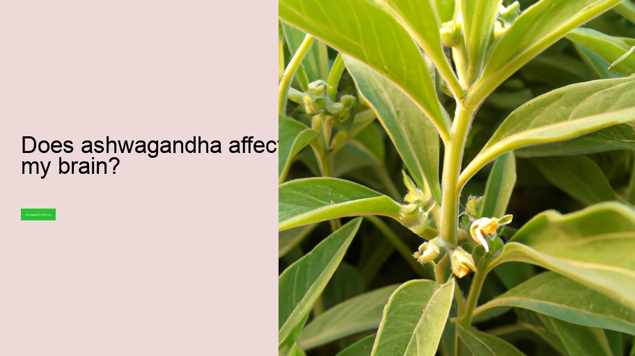 Does ashwagandha affect my brain?