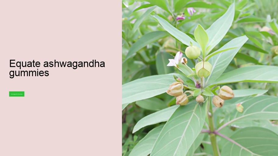 equate ashwagandha gummies