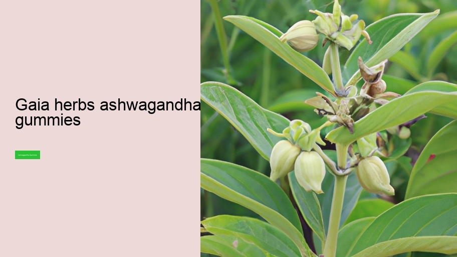 gaia herbs ashwagandha gummies