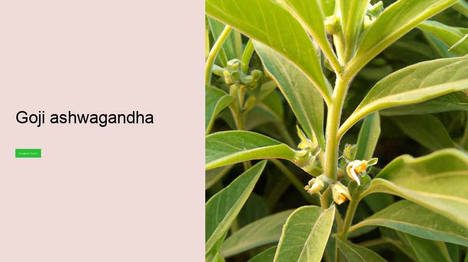 goji ashwagandha