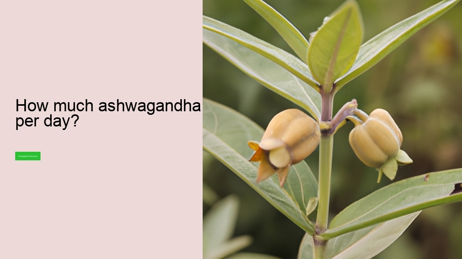 How much ashwagandha per day?