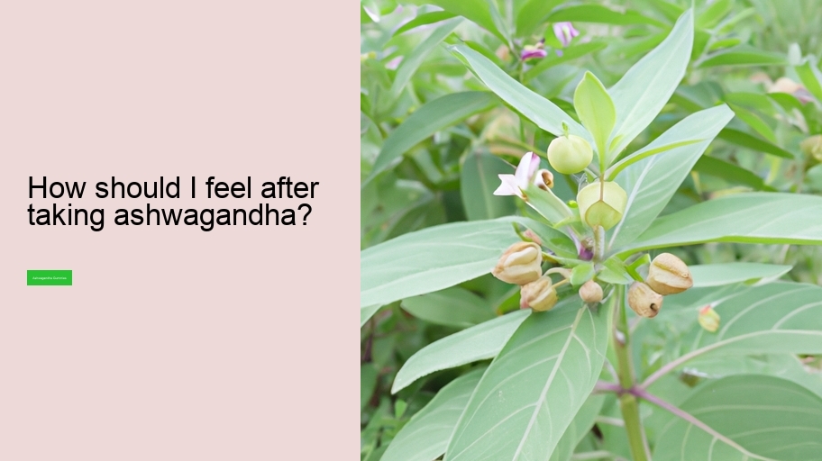 How should I feel after taking ashwagandha?
