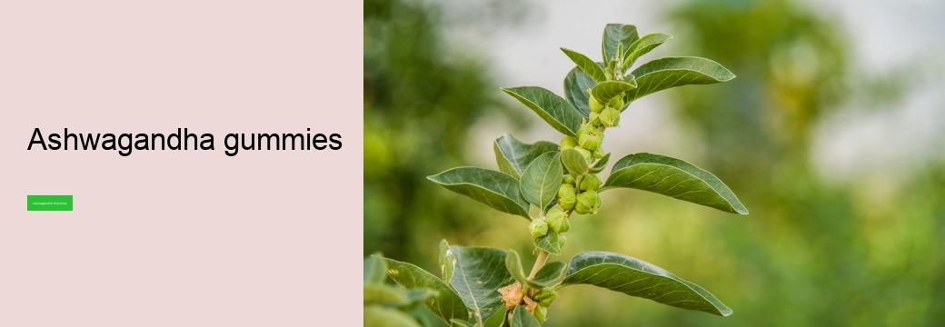 Can I take ashwagandha everyday?