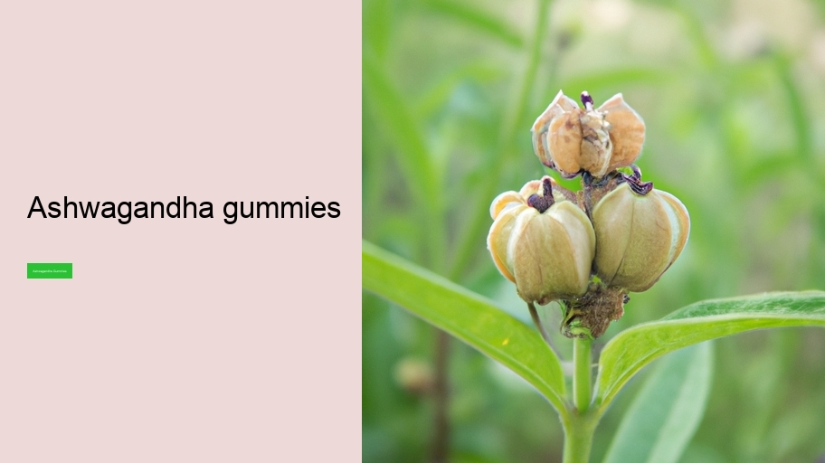 ashwagandha gummies