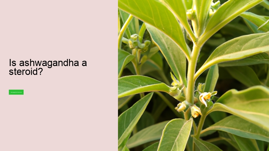 Is ashwagandha a steroid?