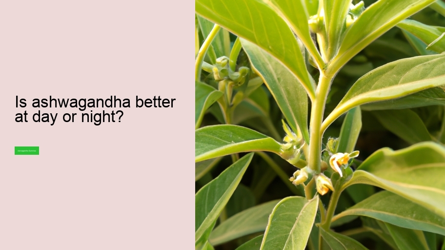 Is ashwagandha better at day or night?