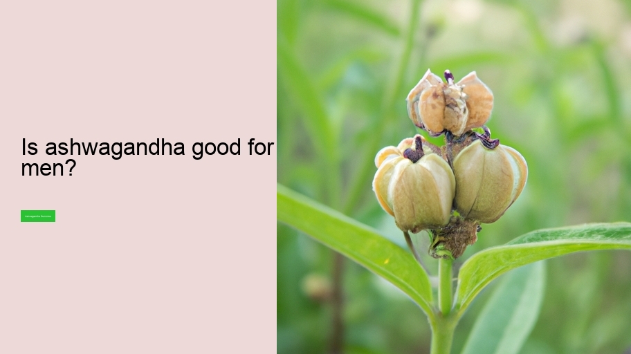 Is ashwagandha good for men?