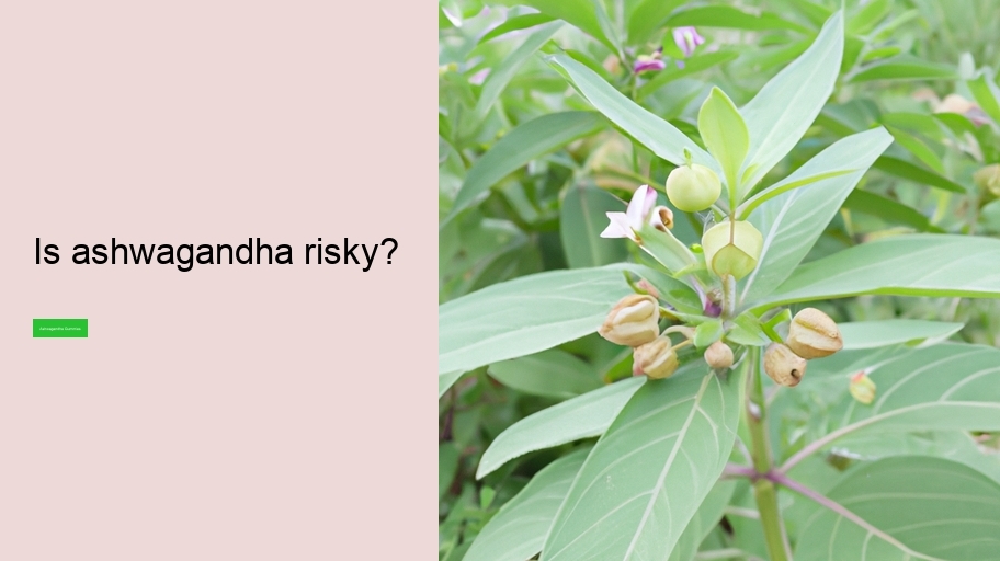 Is ashwagandha risky?
