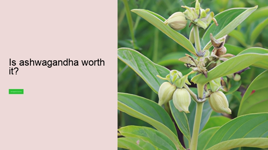 Is ashwagandha worth it?