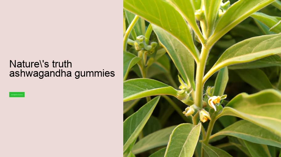 nature's truth ashwagandha gummies