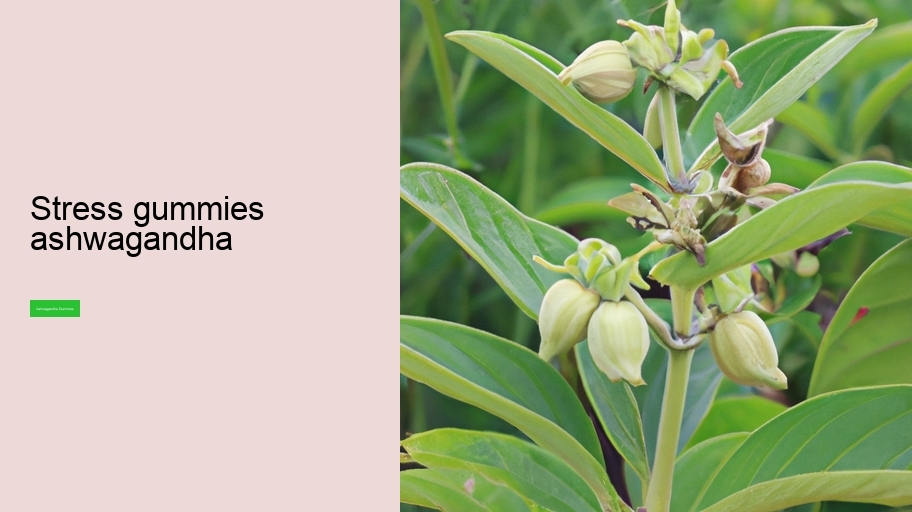 stress gummies ashwagandha
