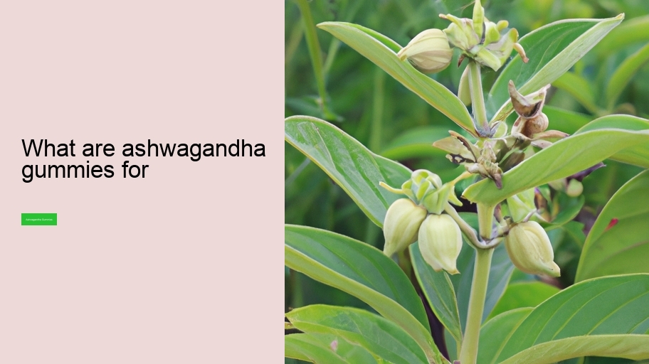 what are ashwagandha gummies for