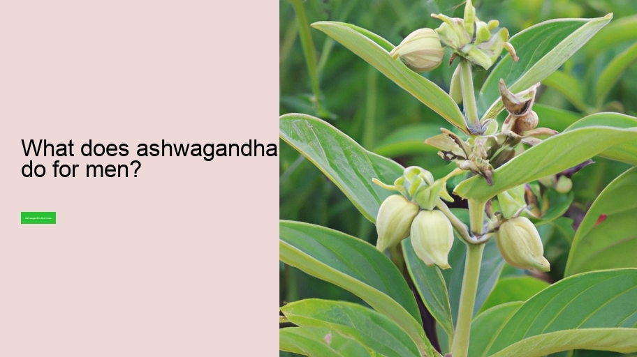 What does ashwagandha do for men?