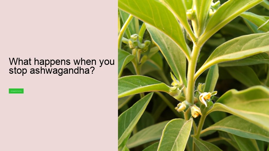 What happens when you stop ashwagandha?