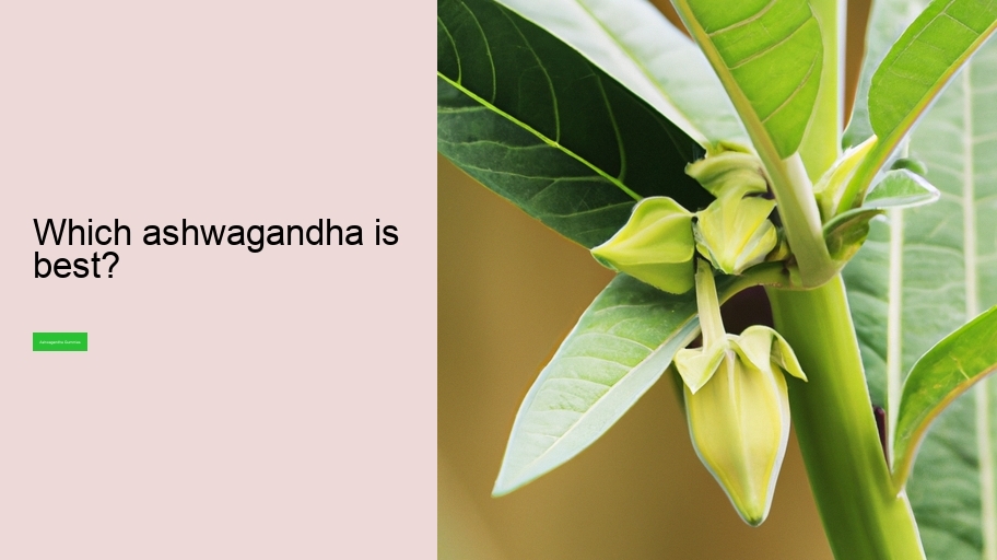 Which ashwagandha is best?