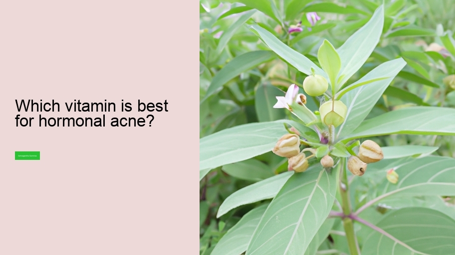 Which vitamin is best for hormonal acne?
