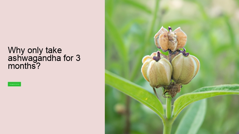 Why only take ashwagandha for 3 months?
