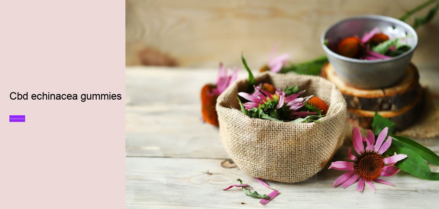 vitamin c and echinacea gummies