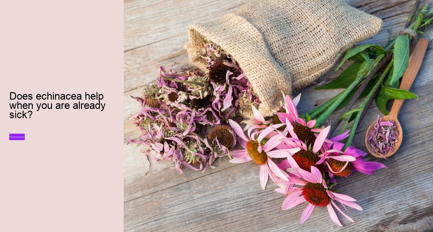 Is echinacea an anti inflammatory?