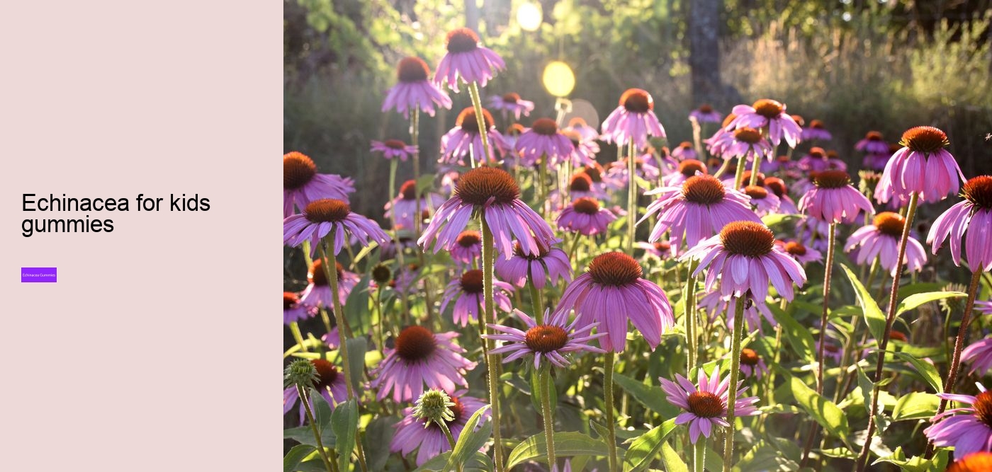 echinacea gummies recipe