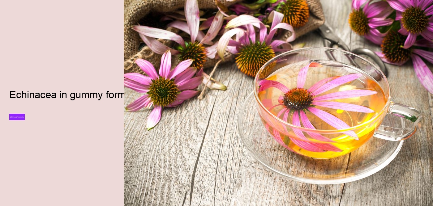 Does echinacea have caffeine?