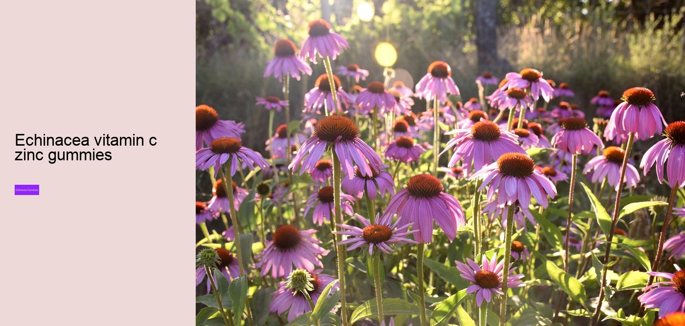 Does echinacea react with anything?