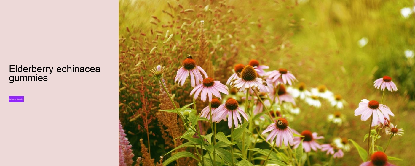 Who should not take echinacea?