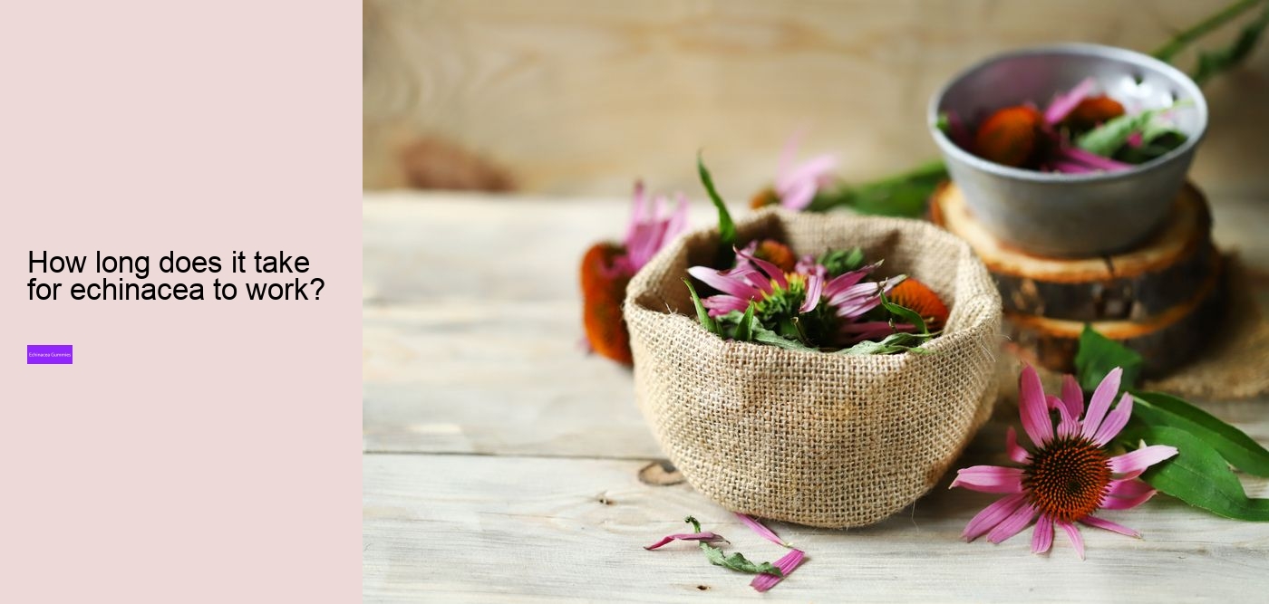 echinacea and zinc