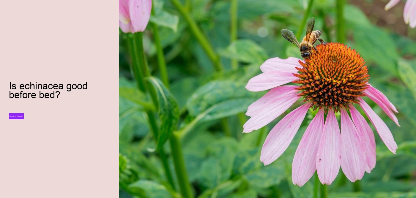 What's the best form of echinacea?