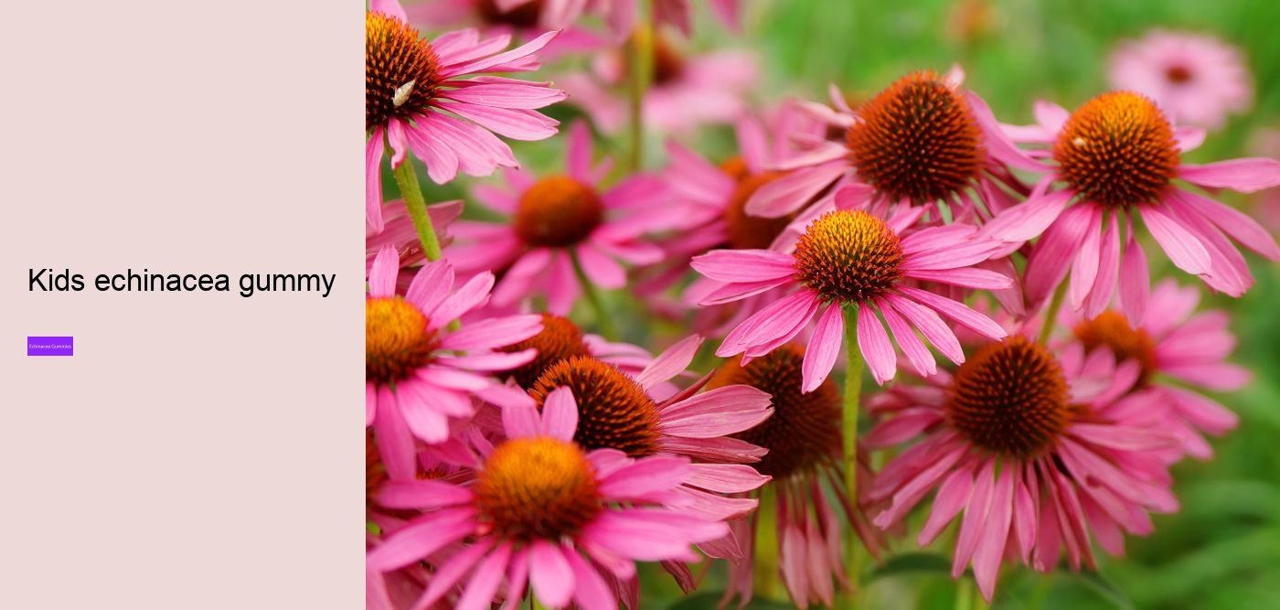 Is echinacea an anti inflammatory?