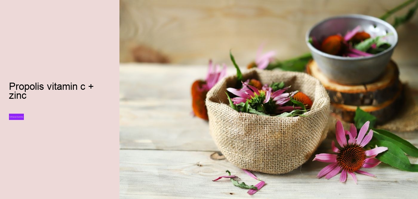 gummy echinacea