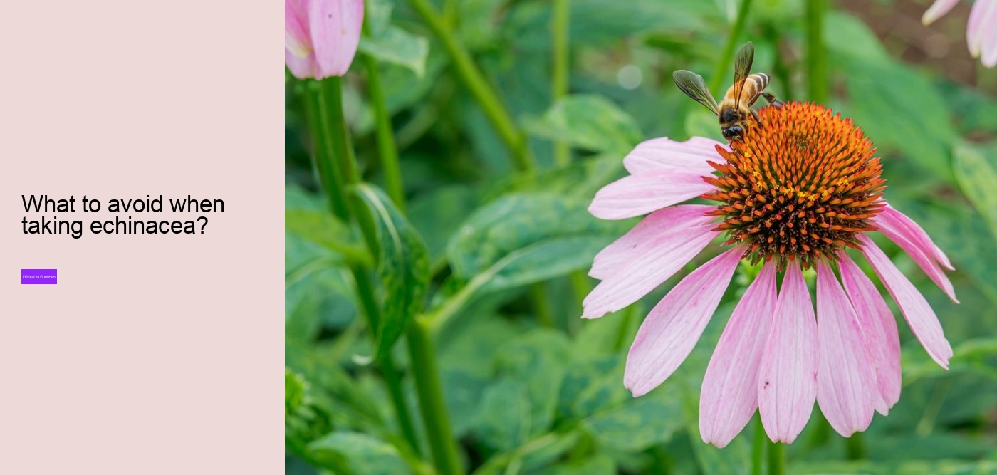 Is it OK to take echinacea every day?
