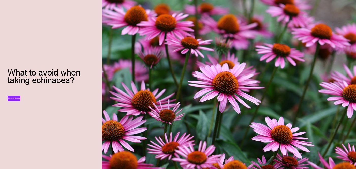 How long does it take for echinacea to work?