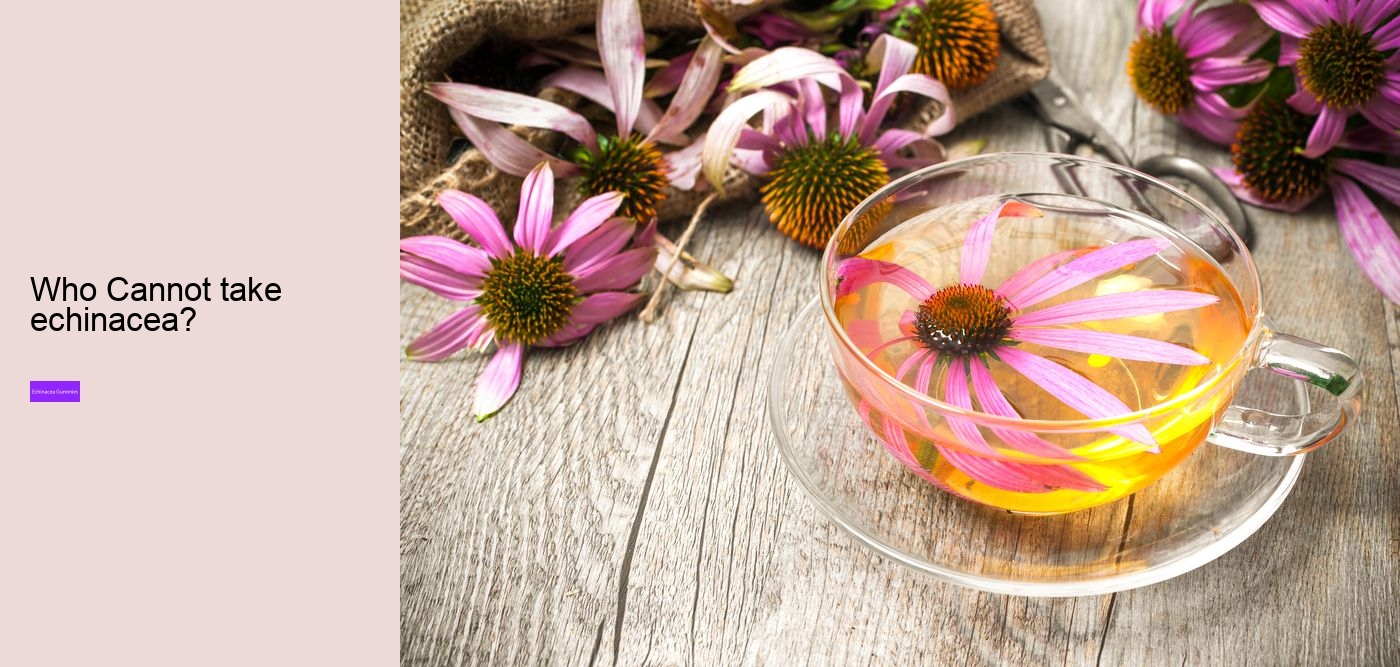 vitamins c and d zinc and echinacea