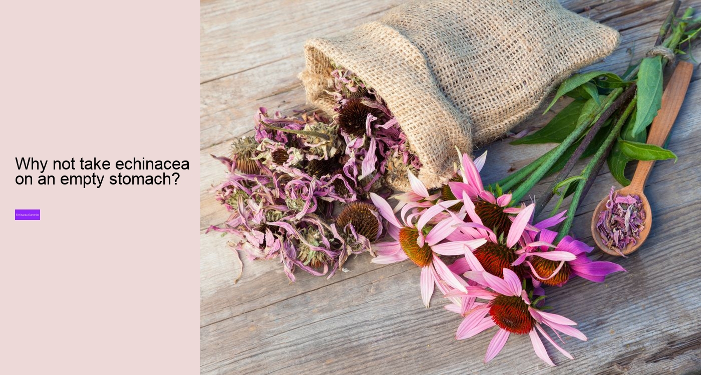 Is it OK to take echinacea every day?
