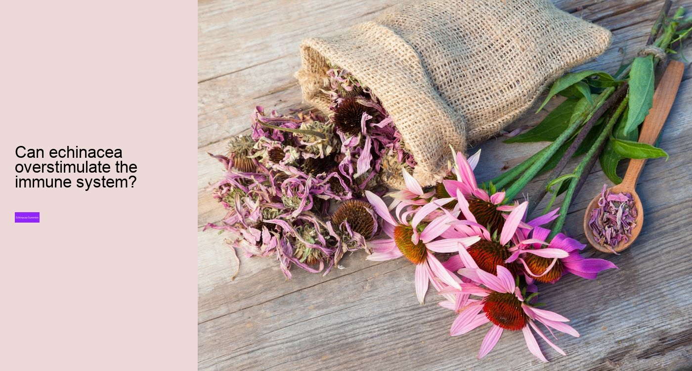 echinacea for kids gummies