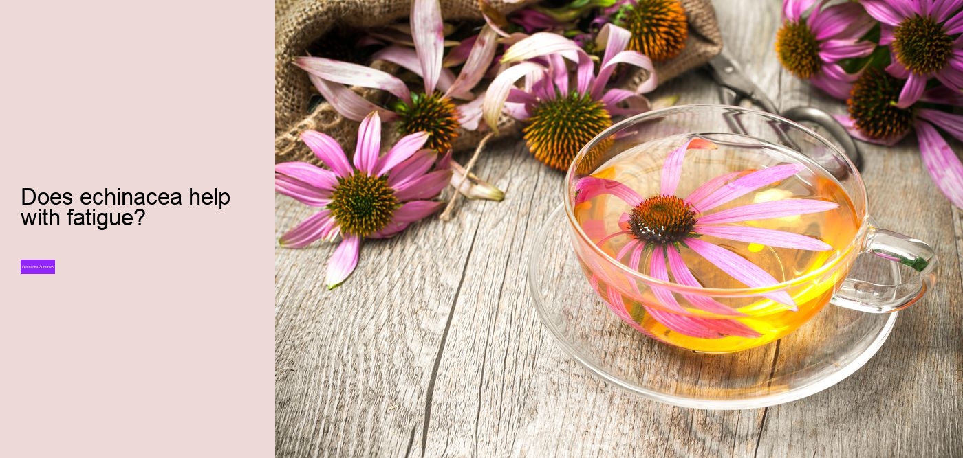 children's echinacea gummies