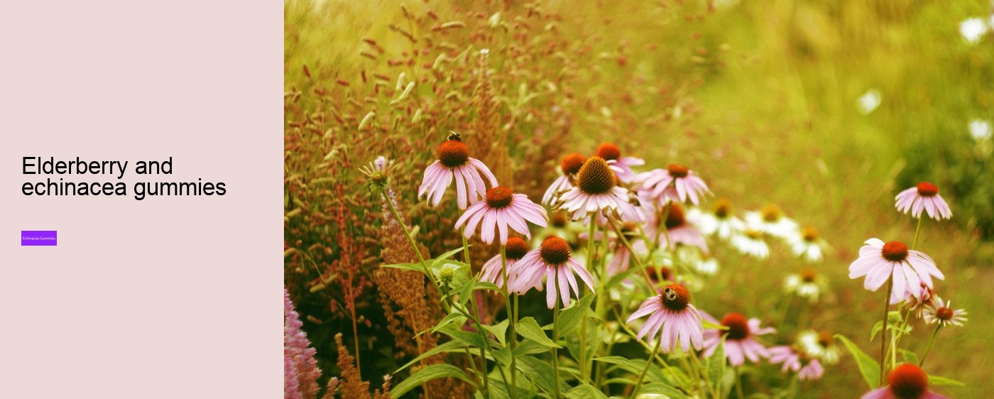 Is echinacea good for anxiety?