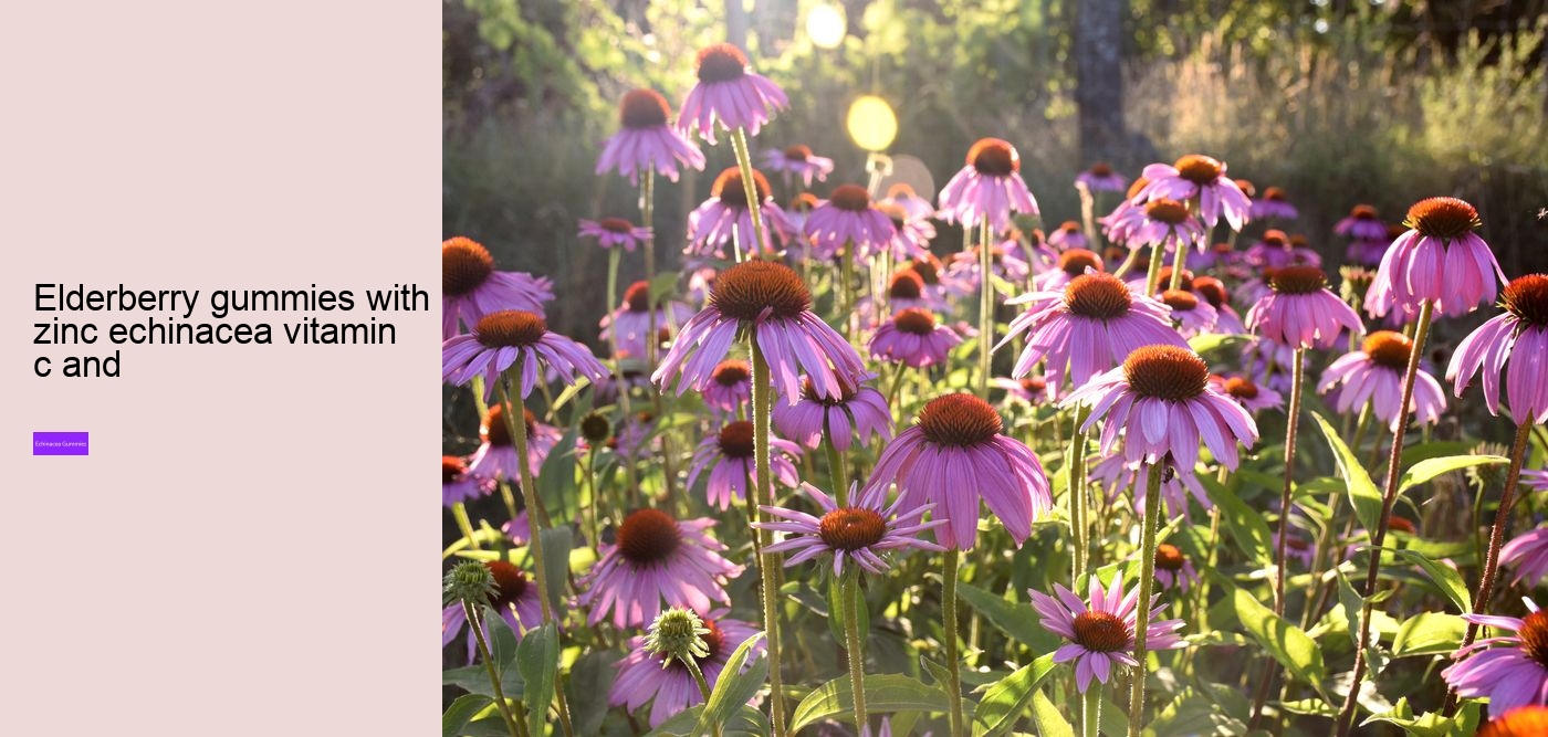 gummies vitamins zinc and echinacea