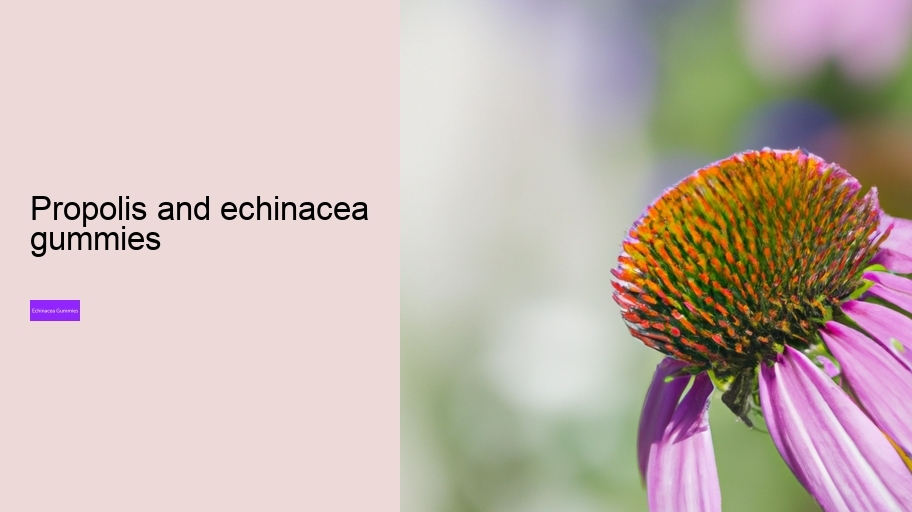 propolis and echinacea gummies