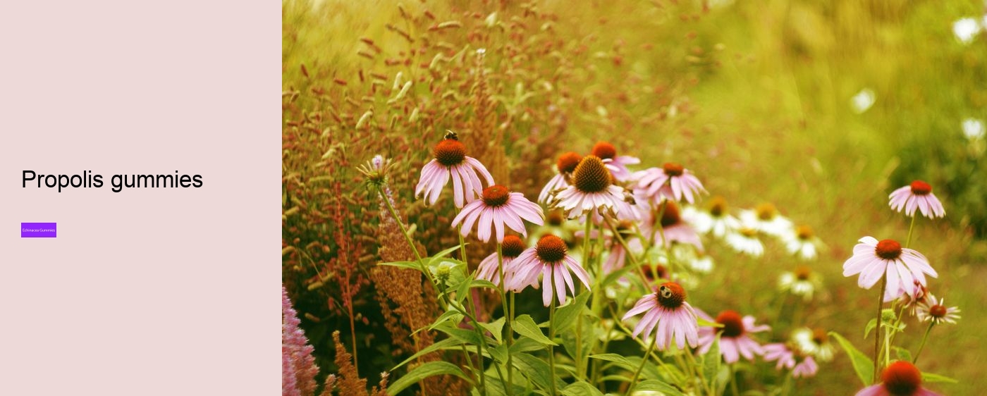 echinacea nature valley gummies