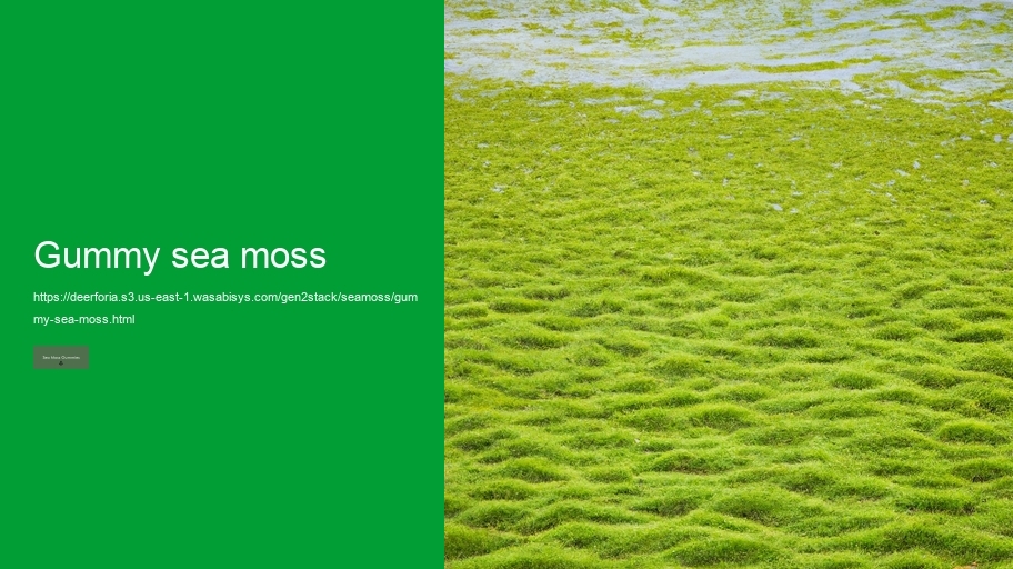 gummy sea moss