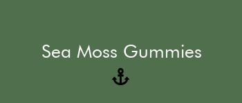 img/logo.jpg